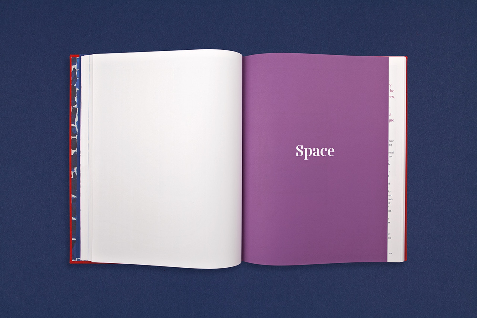 Alma Thomas Monograph